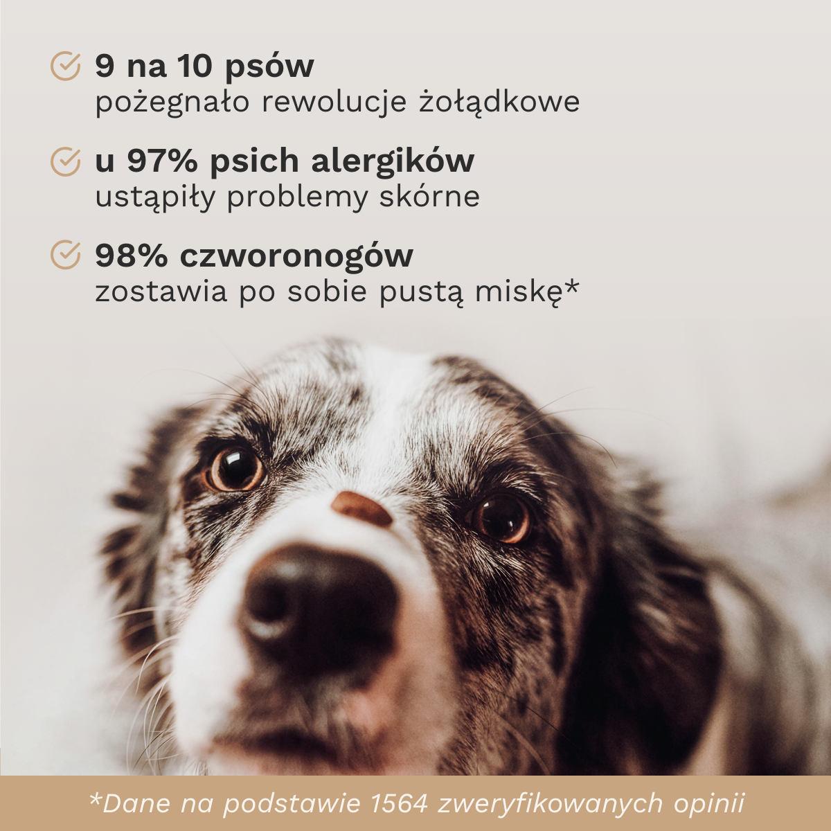 Karma sucha dla psa Indyk 70% - dane z 1564 zweryfikowanych opinii: 9 na 10 psów pożegnało rewolucje żołądkowe, u 97% psich alergików ustąpiły problemy skórne, 98% czworonogów zostawia pustą miskę