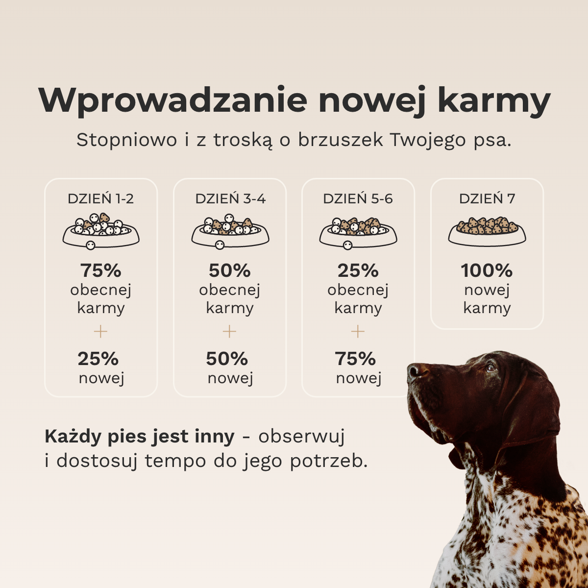 Karma sucha dla psa Kaczka 70% - wprowadzanie nowej karmy w siedem dni: dzień 1-2 75% obecnej karmy i 25% nowej, dzień 3-4 po połowie, dzień 5-6 25% obecnej i 75% nowej, dzień 7 już 100% nowej karmy